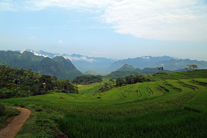 Las 5 caminatas más hermosas en el norte de Vietnam